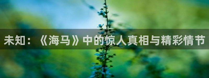 新闻图片
