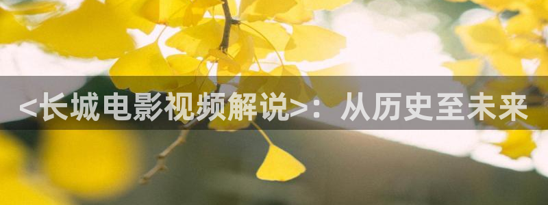 秋霞网电院网