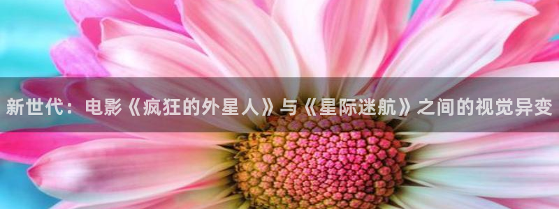 秋霞原网