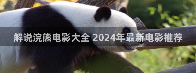秋霞网在线观手看手机