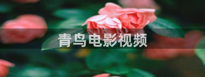 2023秋霞电影网