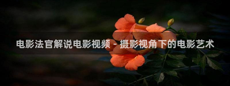 秋霞电影网在线免费观看
