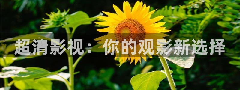秋霞韩国理伦电影