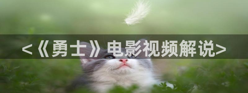 秋霞伦理影