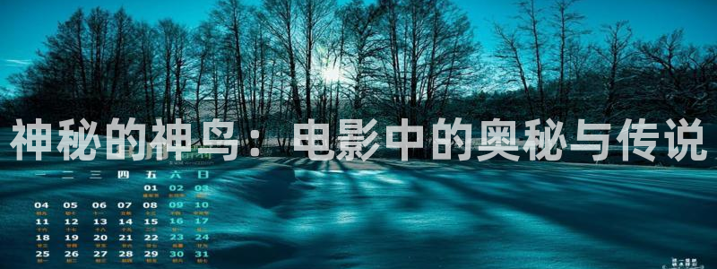 看秋霞