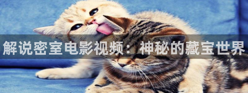 秋霞影院电影网站