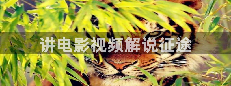 秋霞午夜电影网在线