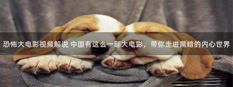 秋霞电影网在线观看网