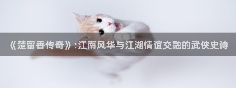 秋霞网在线观看伦理片