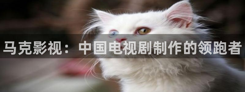 l秋霞电影网