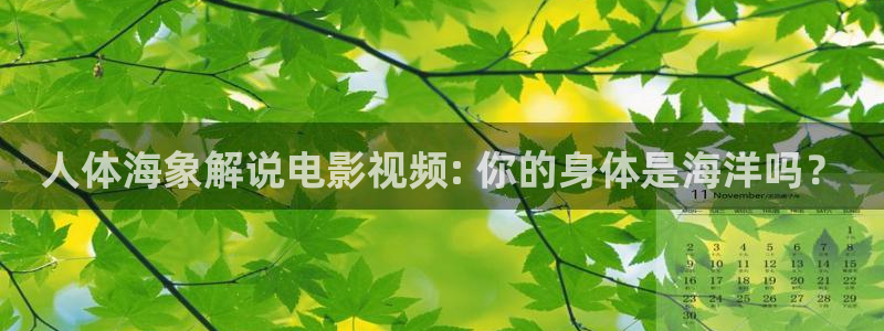 秋霞看片网