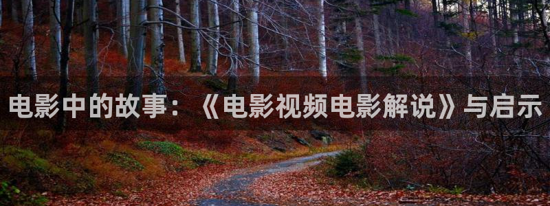 秋霞l伦理片
