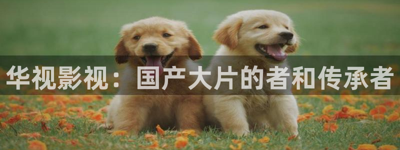秋霞影院一区二区