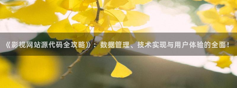 511电影秋霞