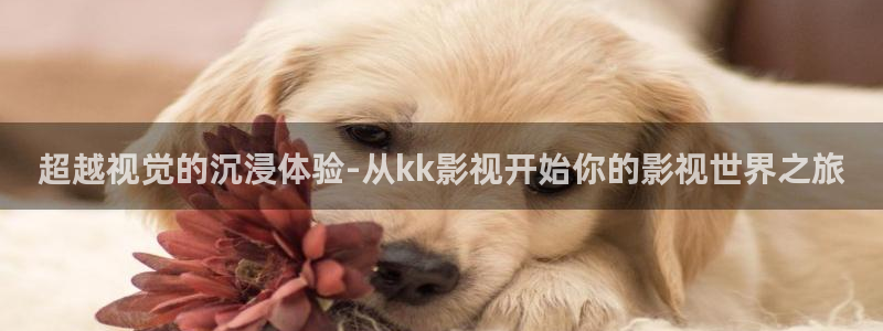 秋霞午夜一区二区三区电影