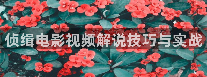 秋霞影院女儿的朋友