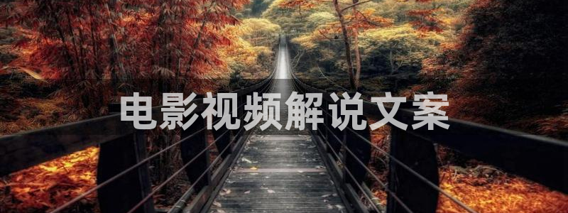 久久久久久秋霞网理论片