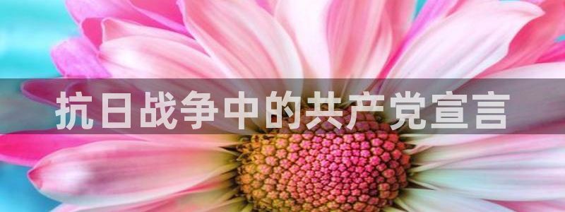 达达兔神马影院秋霞电影