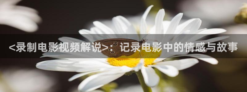 欧美秋霞理论电影