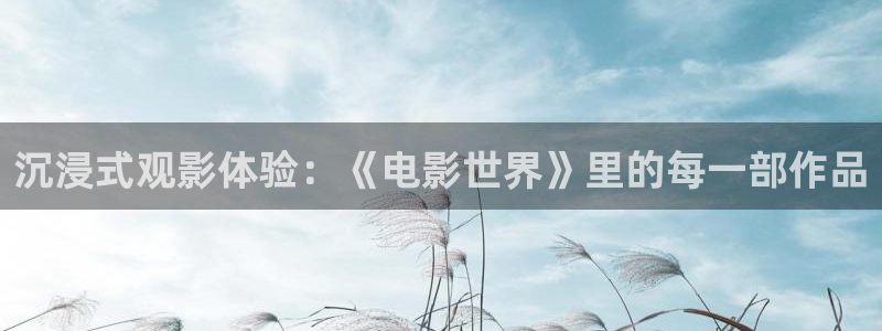 秋霞网777