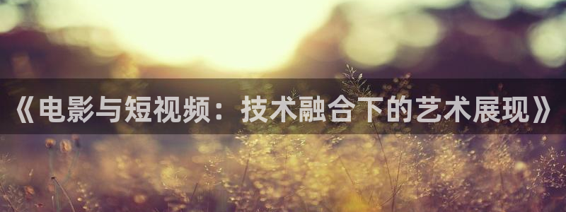 秋霞日韩鲁丝片