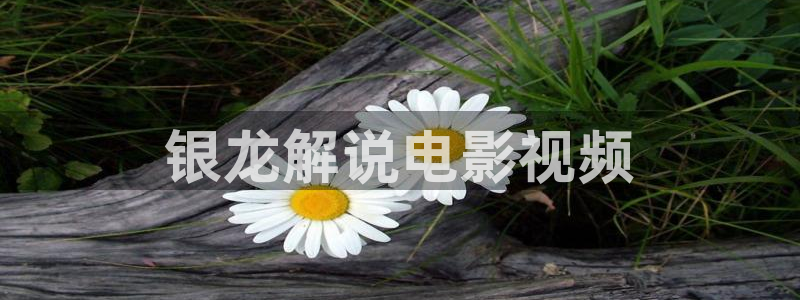 秋霞福利在线