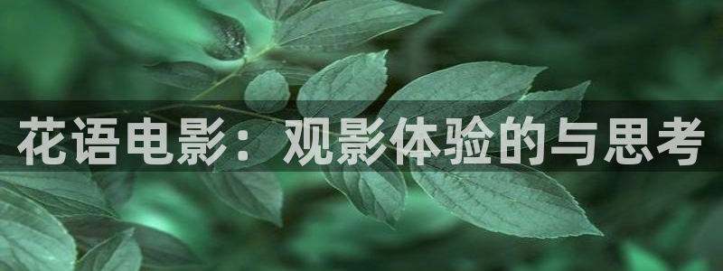 秋霞电影网最新韩国手机在线观看
